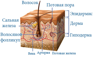 ПИЛИНГ