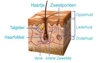 Huidbehandeling Skin Treatement Voor een prachtige egale huid - Brussels Belgium DR Dombard